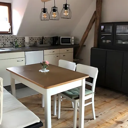 Mein Rosenbusch 2 *