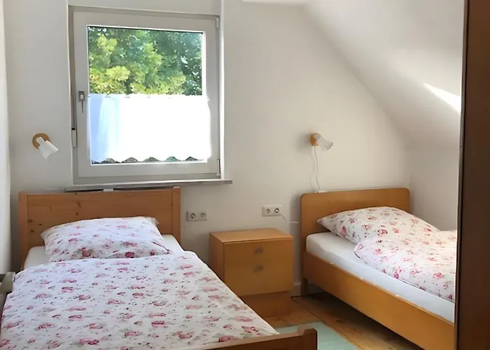 Mein Rosenbusch 2 Daire